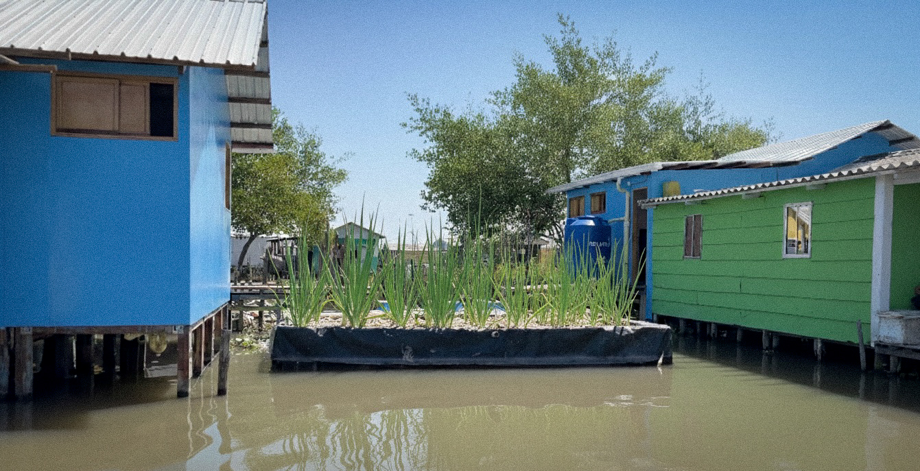 Viviendas intervenidas y humedal del sistema compartido de tratamiento de agua residual.